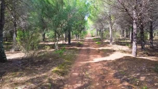 Tranquil Pathways Capturing Charm Codosera Rural Roads Badajoz Spain — Stock video