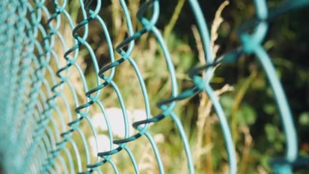 自然を背景にした金属製の柵をぼかし — ストック動画