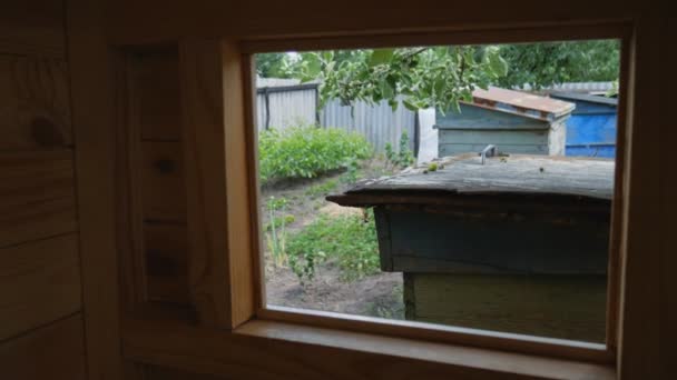 Blick Aus Dem Fenster Auf Bunte Bienenstöcke Aus Holz Einem — Stockvideo