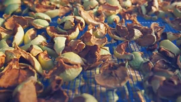 Suspended Mesh Dryer Berries Process Harvesting Apples Winter Pieces Cut — Stock Video