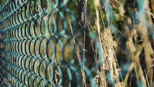 Une Clôture Treillis Métallique Sur Fond Nature Dans Flou Vue — Video