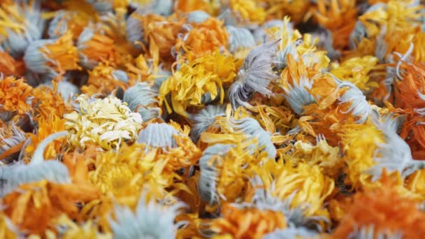 Flores Calêndula Secas Visão Close Flores Secagem Inverno — Vídeo de Stock
