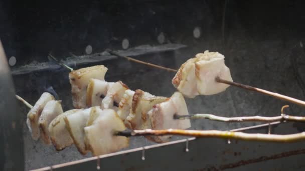 Bucăți Carne Grasă Frigărui Lemn Grătar Cărbuni Într Grătar Metalic — Videoclip de stoc