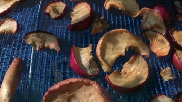 Séchoir Mailles Suspendues Pour Baies Processus Récolte Des Pommes Pour — Video
