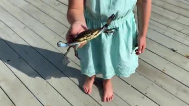 Elinde canlı mavi bir yengeç tutan deniz mavisi elbiseli genç bir kızın videosu. Arka planda bir arkadaşı ve yengeç kapanları var..