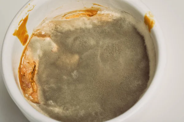 Several Weeks Old Mold Developed Rest Sauce Food — Stockfoto