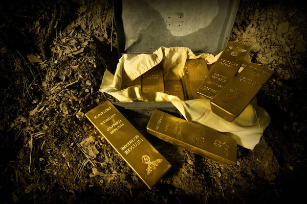 Adventurer Metal Detector Found Ww2 Deposit German Gold — Stock Photo, Image