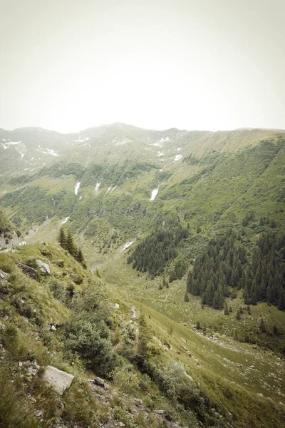 Vue Imprenable Sur Route Trans Fagarasan Col Montagne 2000 Mètres — Photo