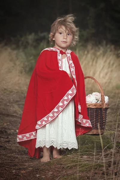 Little red riding hood with basket of food waiting for wolf in forest