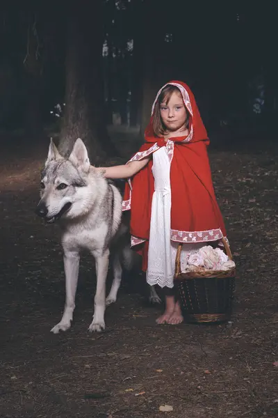Little Red Riding Hood Basket Food Met Wolf Deep Forest — Stock Photo, Image