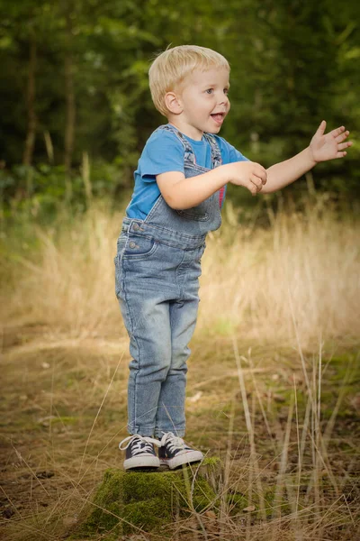 Niño Pequeño Vestido Con Jeans Posando Sobre Muñón Sendero Bosque — Foto de Stock
