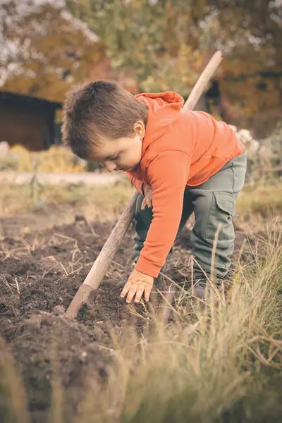 Küçük Çocuk Güzel Bir Sonbahar Gününde Bahçede Zanaatkar Olarak Oynuyor — Stok fotoğraf