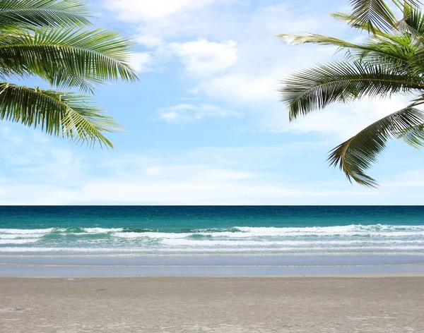 Palmboom Tropisch Strand Met Blauwe Lucht Witte Wolken Achtergrond Kopieerruimte — Stockfoto