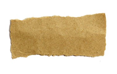 beyaz arkaplanda izole edilmiş parçalanmış bir kağıt parçası 