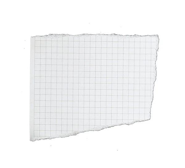 Carta Linee Griglia Strappate Pezzi Isolati Sfondo Bianco — Foto Stock