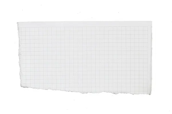 Papier Hat Gitterlinien Stücke Gerissen Isoliert Auf Weißem Hintergrund — Stockfoto