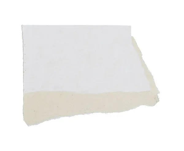 Une Feuille Papier Déchirée Morceaux Isolés Sur Fond Blanc — Photo