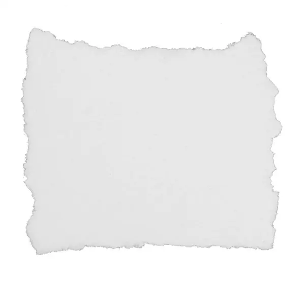 List Papíru Roztrhaný Kusy Izolované Bílém Pozadí — Stock fotografie