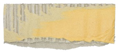 Parçalanmış kağıt parçaları beyaz arkaplanda izole edilmiş.