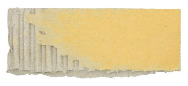 Parçalanmış kağıt parçaları beyaz arkaplanda izole edilmiş.