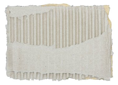 Parçalanmış kağıt parçaları beyaz arkaplanda izole edilmiş.