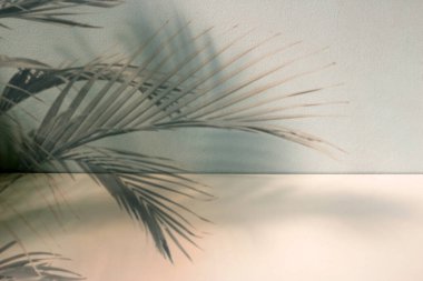 boş masa masası kozmetik ürün gösterimi, podyum, sahne kaidesi veya platformu gösterir.