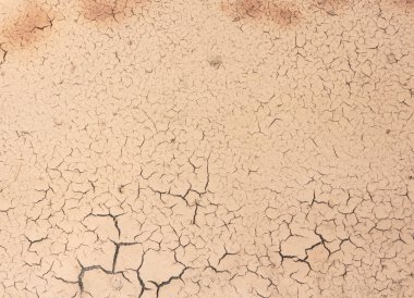 Zemin kuru ve çatlamış.