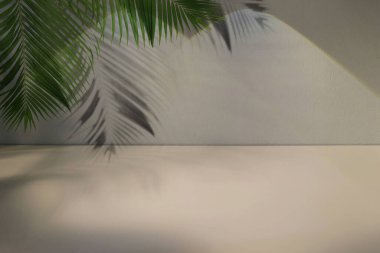 Ürün veya platformları görüntülemek için ışıklandırma alanı