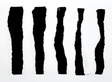 Beyaz sayfa beyaz arkaplanda izole edilmiş boş boşluklara yırtıldı