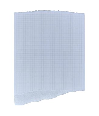 Yırtık çizgili kağıt sayfa beyaz arkaplanda izole