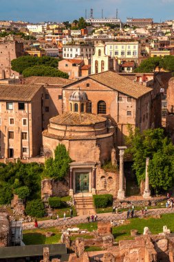 Antik Roma Forumu. Palatine Hill 'in manzarası. Roma İmparatorluğunun güzel kalıntıları