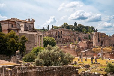 Antik Roma Forumu. Palatine Hill 'in manzarası. Roma İmparatorluğunun güzel kalıntıları
