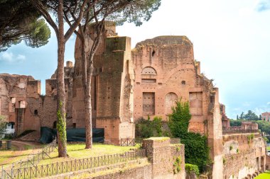 Antik Roma Forumu. Palatine Hill 'in manzarası. Roma İmparatorluğunun güzel kalıntıları