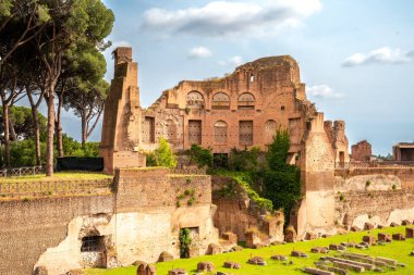 Antik Roma Forumu. Palatine Hill 'in manzarası. Roma İmparatorluğunun güzel kalıntıları