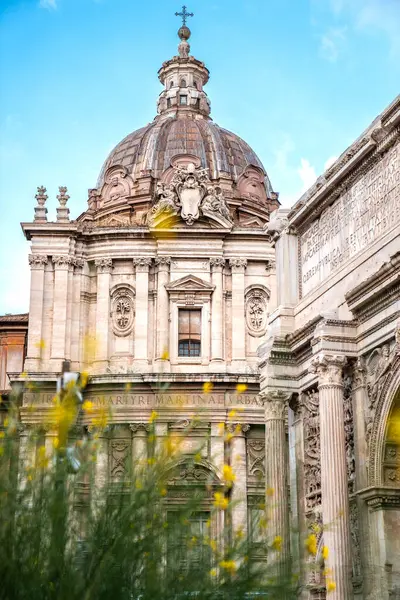 Antik Roma Forumu. Palatine Hill 'in manzarası. Roma İmparatorluğunun güzel kalıntıları