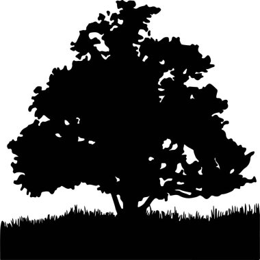 arkaplanda izole edilmiş ağaç vektörü illüstrasyonu