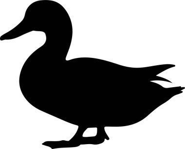 Ördek simgesi beyaz arkaplanda izole edildi