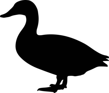 Ördek simgesi beyaz arkaplanda izole edildi