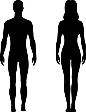 ince simge illüstrasyon izole vektör