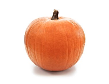 Beyaz arka planda izole edilmiş balkabağı Cadılar Bayramı, Şükran Günü ve Sonbahar