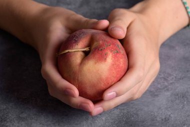 Gri masa arkasında taze olgun şeftali tutan otantik kadın elleri, yakın plan. Sağlıklı yaz atıştırması, yemek yaşam tarzı.