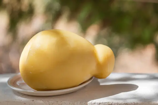 카시오카발로 Cciocavallo 이탈리아 남부의 전형적인 성숙한 파스타 필라타 치즈이다 우유로 로열티 프리 스톡 이미지