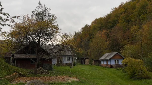 Velhas Casas Abandonadas Outono Cárpatos Ucrânia Foto Alta Qualidade — Fotografia de Stock