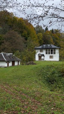 Sonbaharda ormanda kırsal evler, Karpatlar. Yüksek kalite fotoğraf