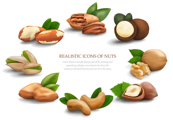 Banner Dengan Kacang Realistis Diletakkan Dalam Lingkaran Kacang Macadamia Kacang - Stok Vektor