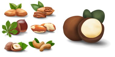 Beyaz arkaplanda izole edilmiş projeleriniz için gerçekçilik simgeleri