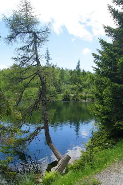 Szczyrbskie Jezioro w Starym Smokovcu na Sowacji