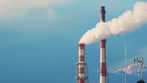 两堆热电站和电站相结合 在蓝天排放白烟 白烟在风中摇曳在一起 热能生产 能源危机 环境问题 空气质量 — 图库视频影像
