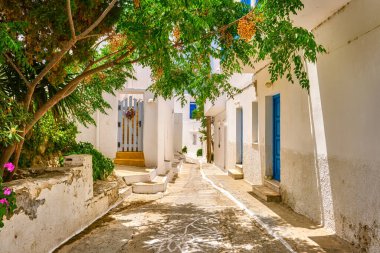 Yunanistan 'ın Naousa, Paros Adası, Ege Denizi, Yunanistan' ın geleneksel yaz caddeleri ve güzel yürüyüş yolları. Beyazlatılmış evler, yemyeşil yapraklar, güneş ışığı ve gölge, geleneksel tarz, tatiller