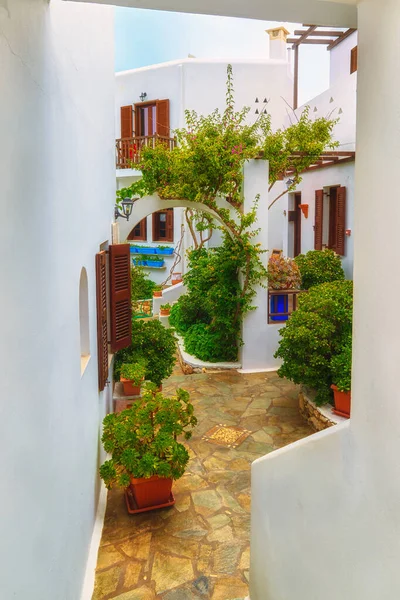 Beautiful small patio in traditional Greek style with whitewashed walls, stone pavement, lush foliage of trees, bougainvillea and flowers in pots. Mediterranean lifestyle, vacations destination